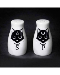 Witches Familiar Black Cat Salt & Pepper Shaker Set