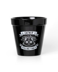 Catnip Feline Fine Cat Garden Plant Pot