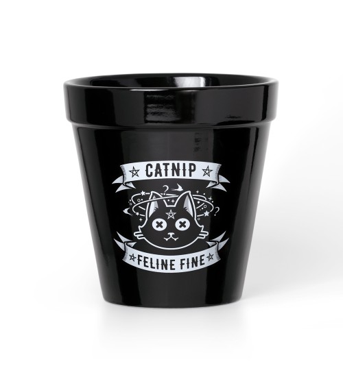 Catnip Feline Fine Cat Garden Plant Pot