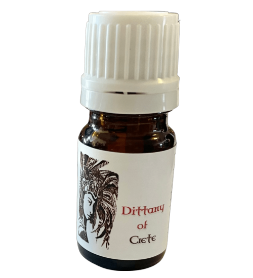 Dittany of Crete Witch Oil for Divination