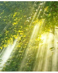 Litha, The Summer Equinox - Wiccan Rituals and Lore Litha, The Summer Equinox - Wiccan Rituals and Lore
