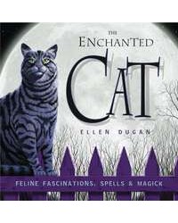 The Enchanted Cat