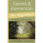 Faeries & Elementals for Beginners