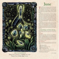 Witches Wall Calendar Llewellyn Annual 2024