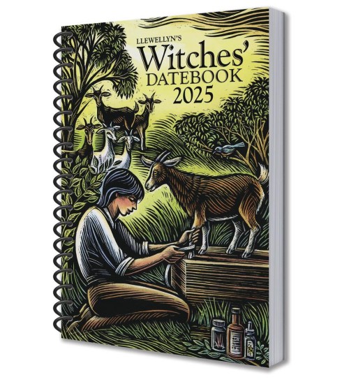 Llewellyn's Annual Witches' Datebook Planner Calendar