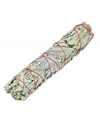 White Sage Smudge Stick - XLarge 8 Inch Bundle