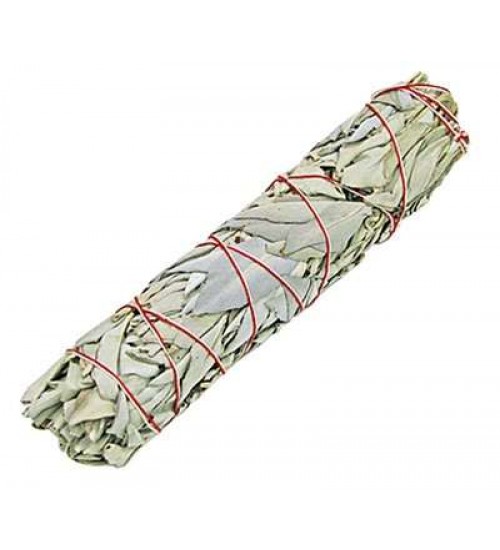 White Sage Smudge Stick - XLarge 8 Inch Bundle