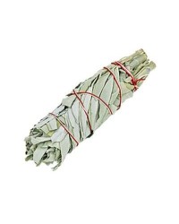 White Sage Smudge Stick - Small Smudge