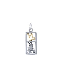 Capricorn Silver and Gold Charm