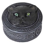 Black Cat Trinket Box with Rolling Eyes