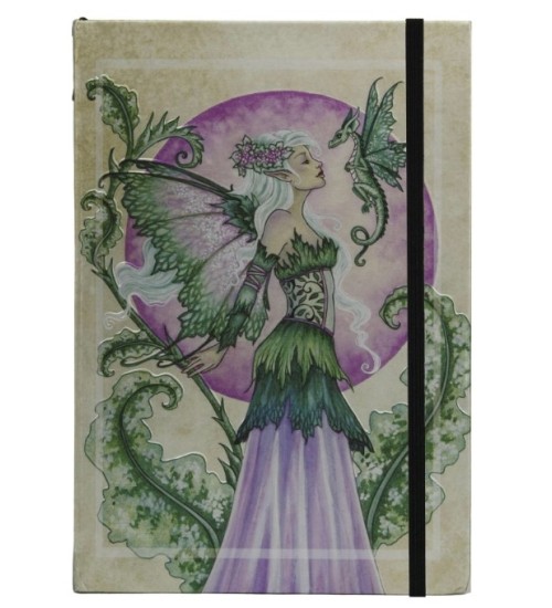 Discovery Embossed Fairy Dragon Journal