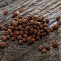 Allspice Oil