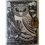 Owl Black and Silver Book of Shadows Journal with Latch