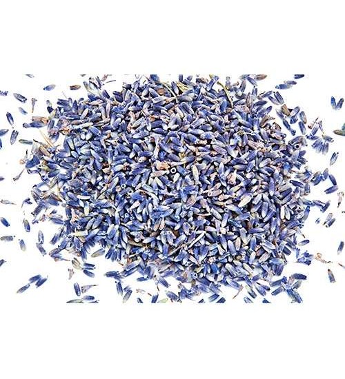 French Lavender Flower Ultra Blue Buds