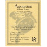 Aquarius Zodiac Parchment Poster