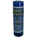 Wicca Direction Spell Candle with Amulet Pendant