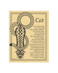 Cat Animal Spirit Parchment Poster