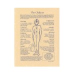 Chakras Reference Parchment Poster