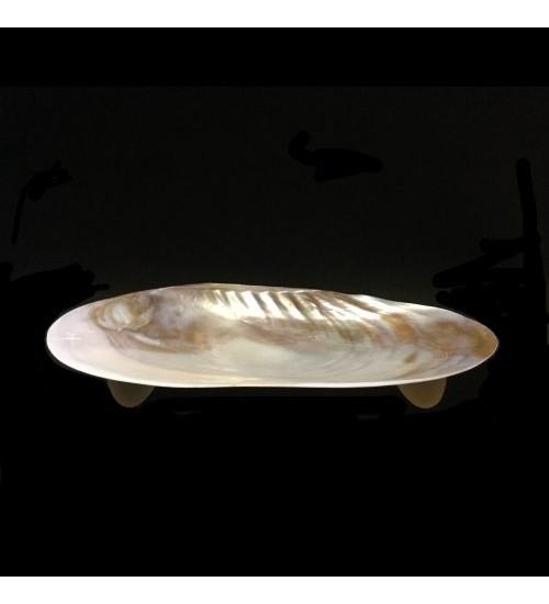 Silver Clam Shell with Legs
