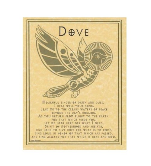 Dove Prayer for Peace Parchment Poster