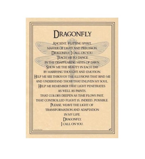 Dragonfly Prayer for Transformation Parchment Poster