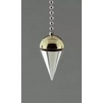 Focus Economy Pendulum