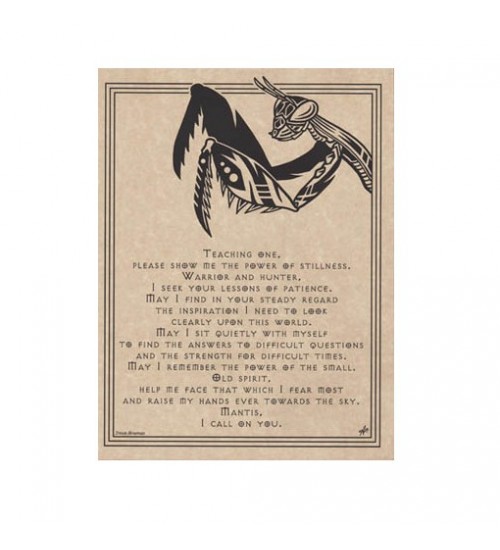 Mantis Animal Spirit Parchment Poster