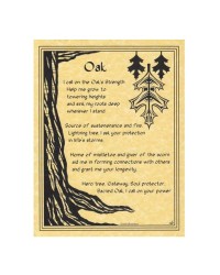 Oak Tree Blessing Parchment Poster