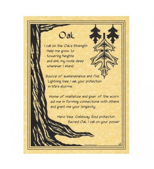 Oak Tree Blessing Parchment Poster