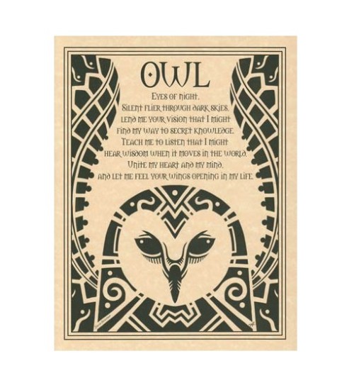 Owl Prayer for Wisdom Parchment Poster