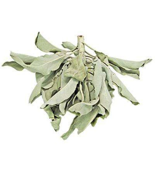 White Sage Leaves Loose Herb