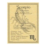 Scorpio Zodiac Parchment Poster