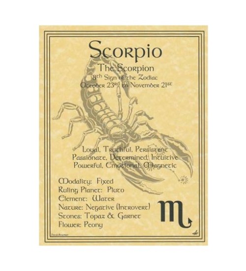 Scorpio Zodiac Parchment Poster