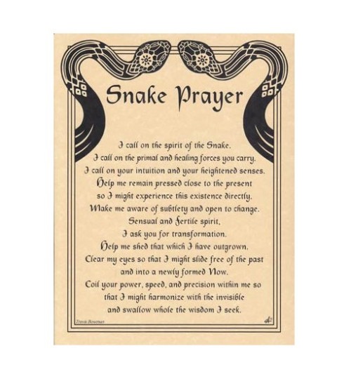 Snake Prayer Parchment Poster