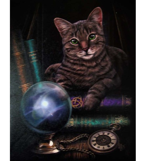 Fortune Teller Cat Canvas Print