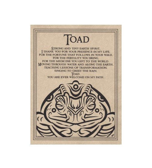 Toad Animal Spirit Prayer Parchment Poster